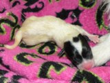 just born